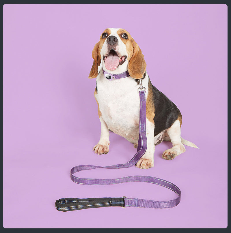 Collier GPS chien - EasyTrackDog™ avec Laisse