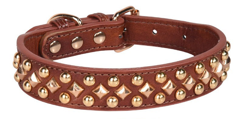Collier chien - Le Majestik™