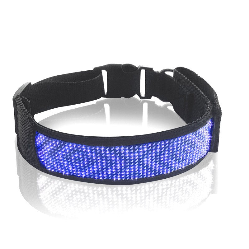 Collier lumineux chien - StunningLumos™ bleu