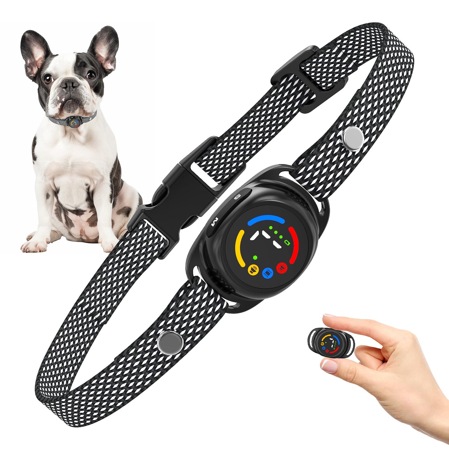 Collier anti aboiement chien - QuietDogâą avec petit chien