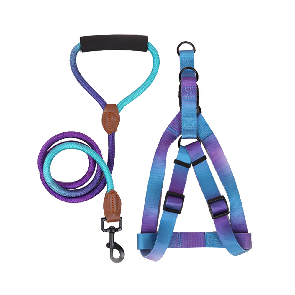 harnais violet et bleu
