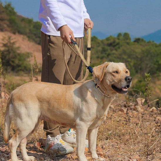 Laisse pour chien - prati-laisse™