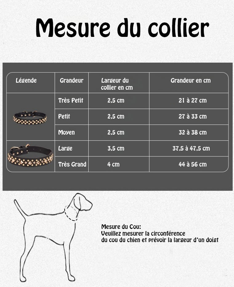 Collier chien - Le Majestik™