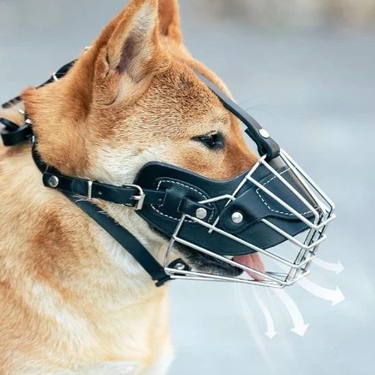 Muselière pour chien - NoBiteDog™