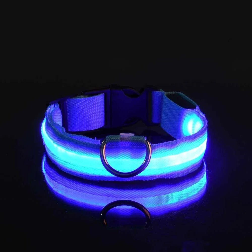 Collier Chien - LEDCollarDogâą - Bleu - Ma Promenade avec Toutou