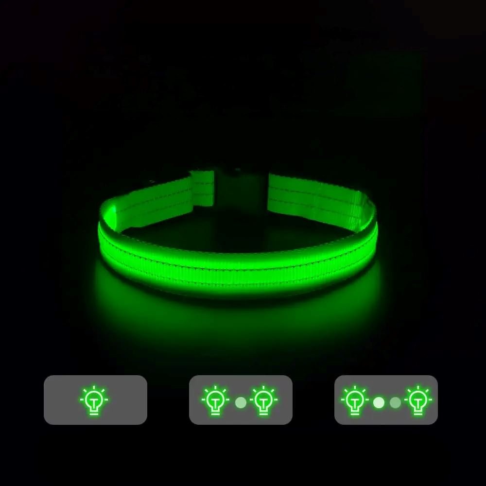 Collier Chien - LEDCollarDogâą - Vert - Ma Promenade avec Toutou