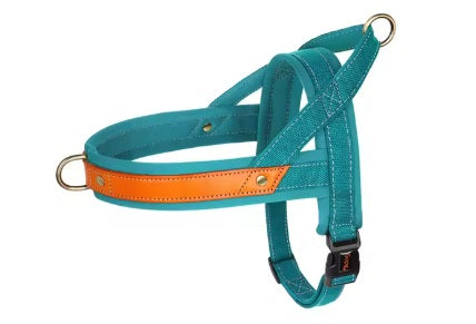 Harnais JustSweet™ turquoise
