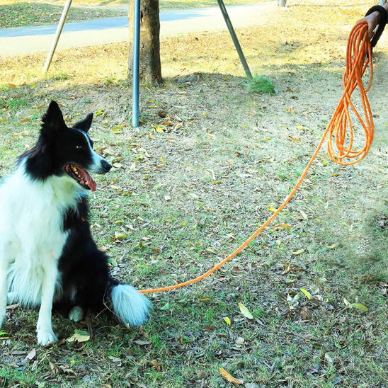 Longe pour chien - Safety-Laisse™
