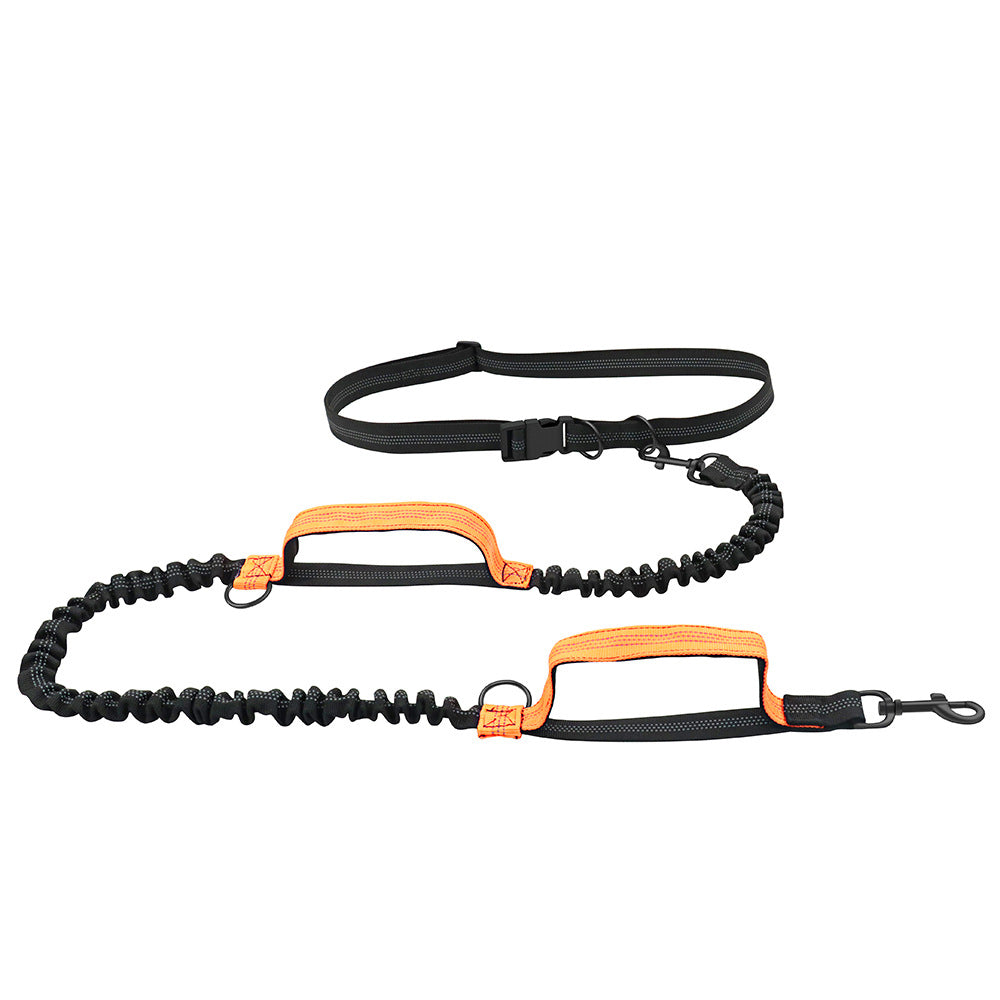laisse orange