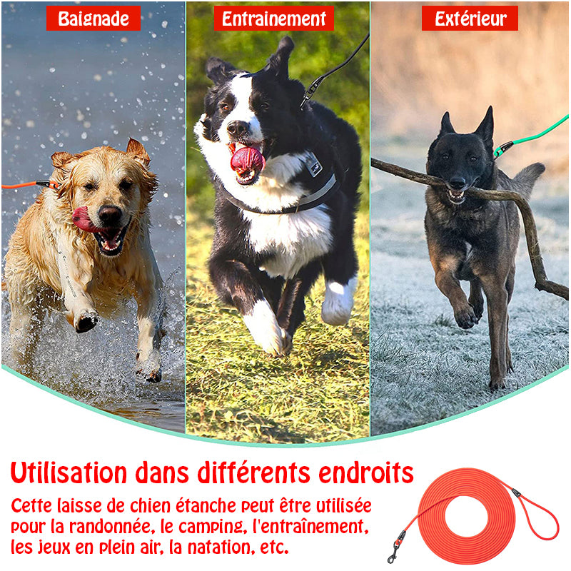 longe pour chien - EasyTrain™ - Rouge utilisation multiple