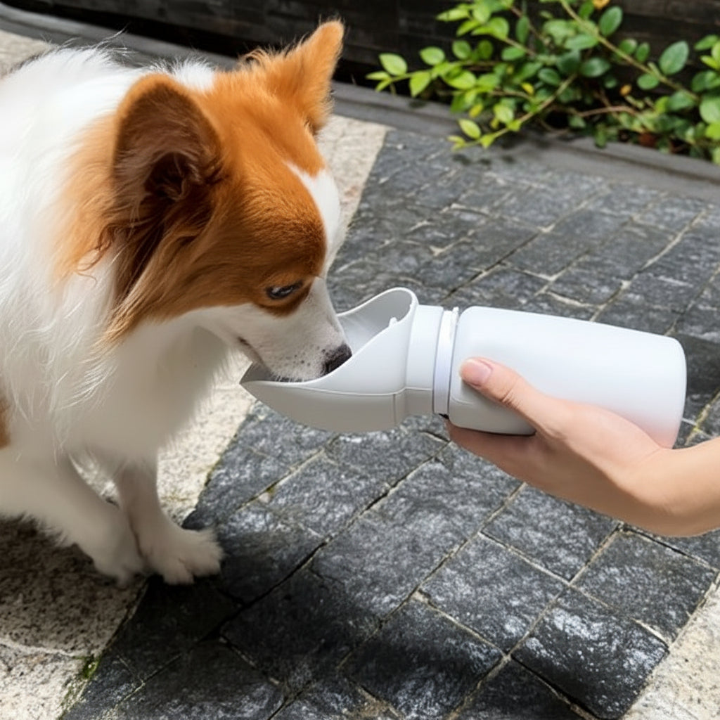 Gourde chien - HydraTrekâą