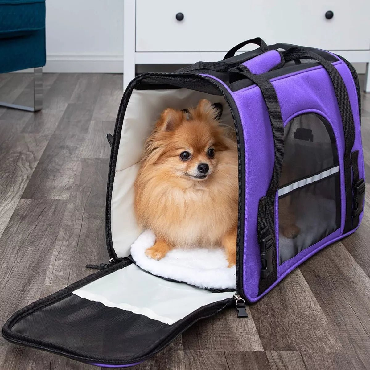 Sac de Transport pour Chien - DogCarrierBagâą - Violet - Ma Promenade avec Toutou