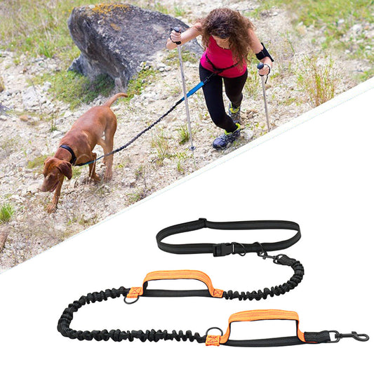 laisse chien main libre La Bella™