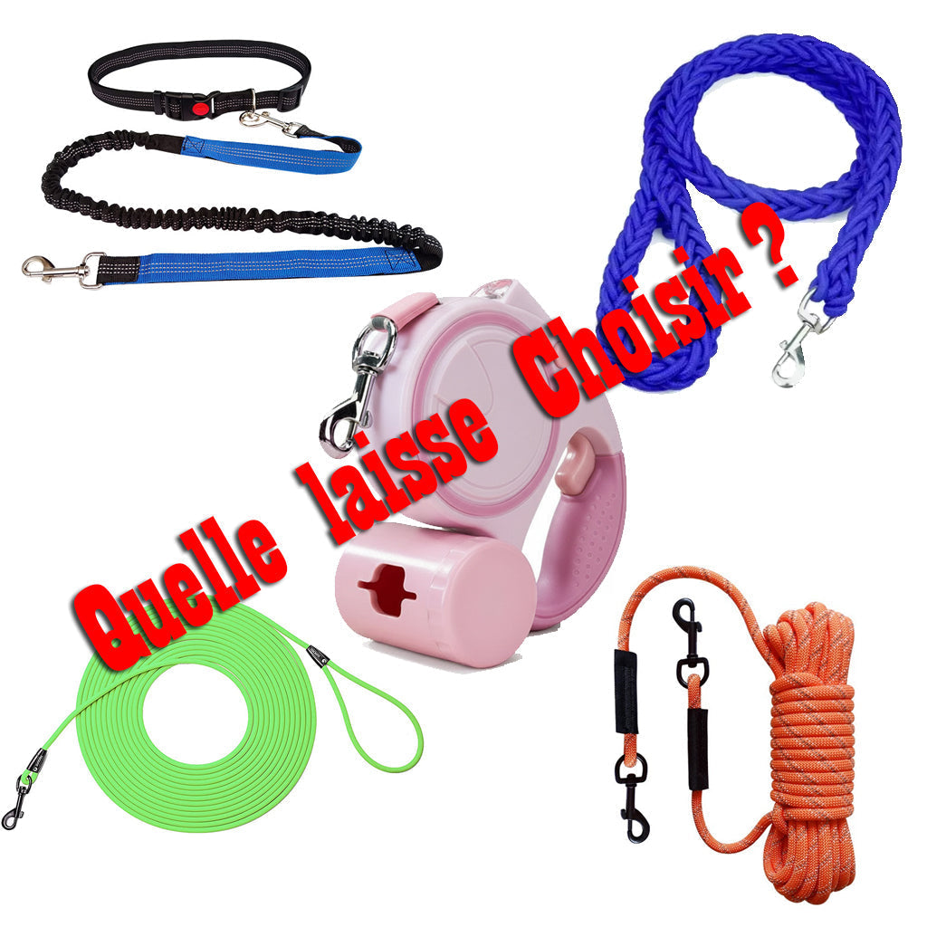 Laisse, longe, laisse canicross ou enrouleur : comment choisir la meilleure laisse pour votre chien ?