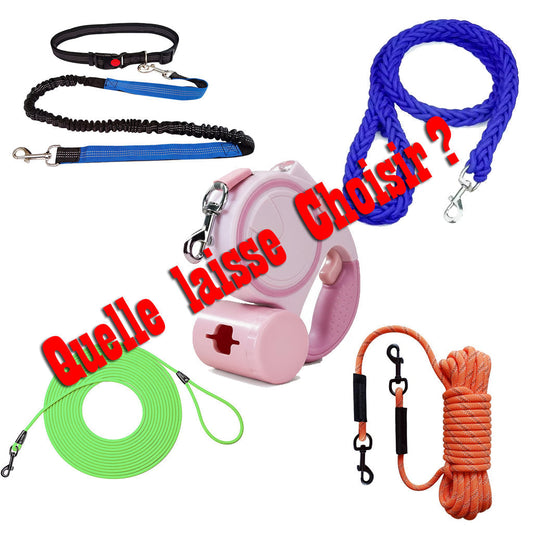 Laisse, longe, laisse canicross ou enrouleur : comment choisir la meilleure laisse pour votre chien ?