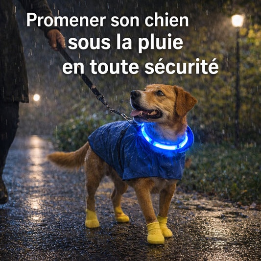 Promener son chien sous la pluie : conseils pour une balade sécuritaire