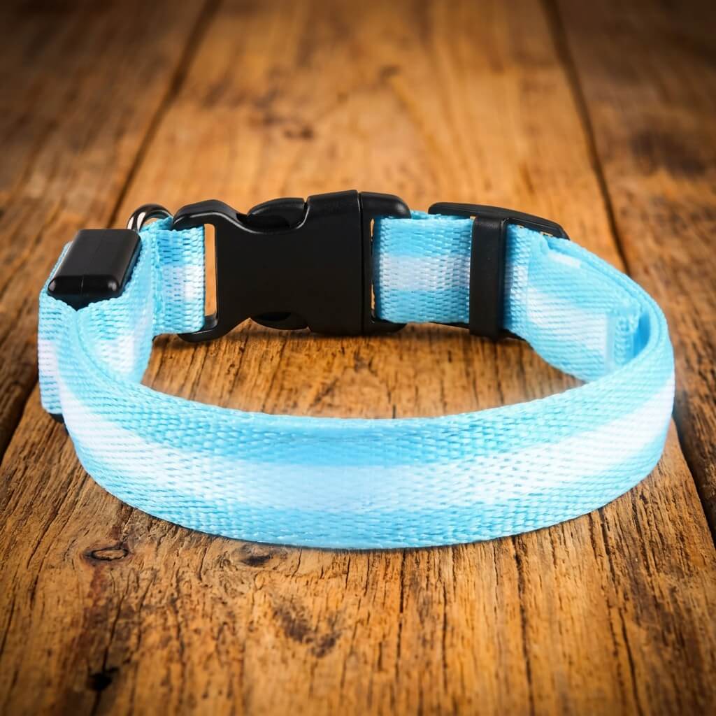 Collier Chien - LEDCollarDog™ - Bleu