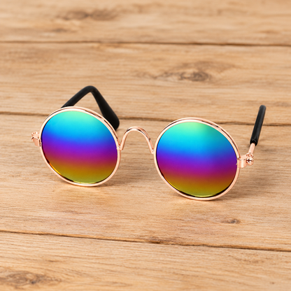 Lunettes pour chien - CoolDog™
