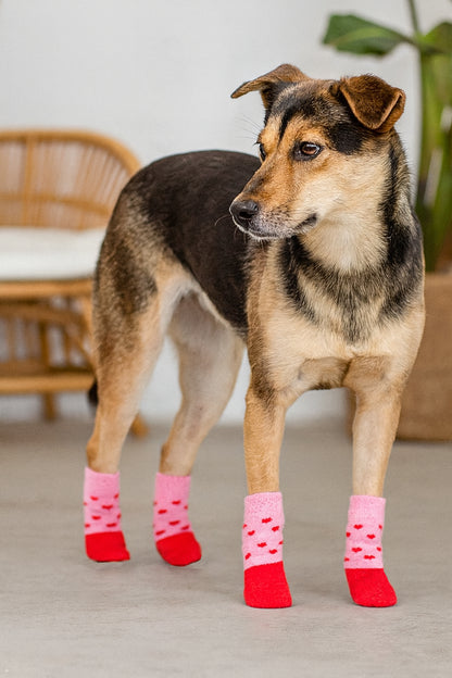 Chaussette pour chien - FunnyDog™
