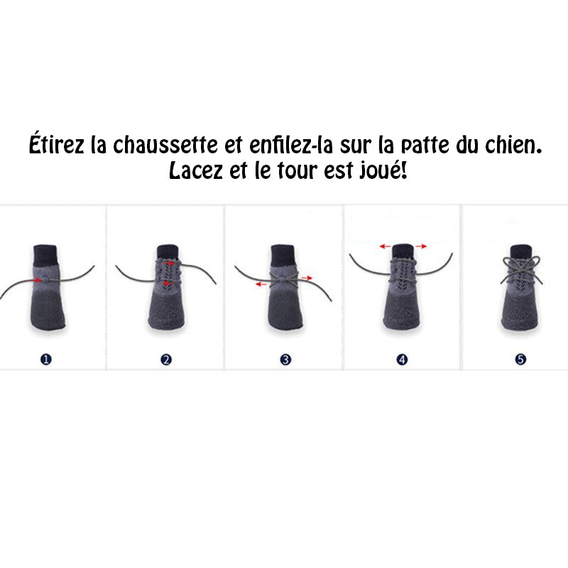 Chaussure Chien - BalerinaStyleShoes™ instruction