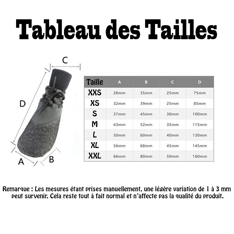 Chaussure Chien - BalerinaStyleShoes™ tableau des tailles