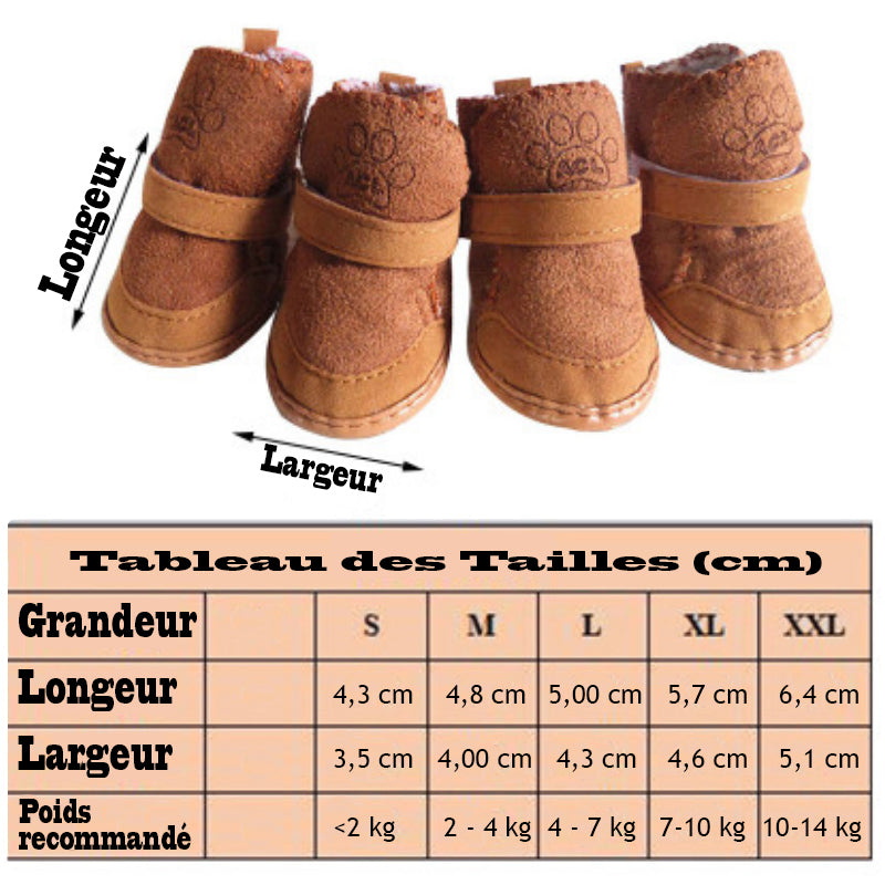 Chaussure pour Chien - PattePro™