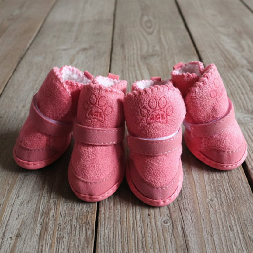 Chaussure pour Chien - PattePro™