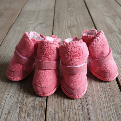 Chaussure pour Chien - PattePro™
