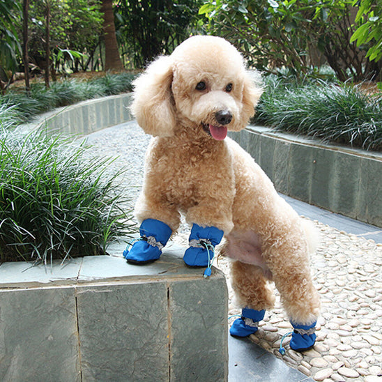 Chaussures chien - EasyPutOn™