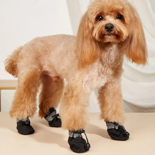 Chaussures chien - EasyPutOn™