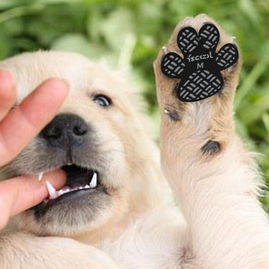 Chaussures pour Chien Antidérapantes - DogCushionProtect™
