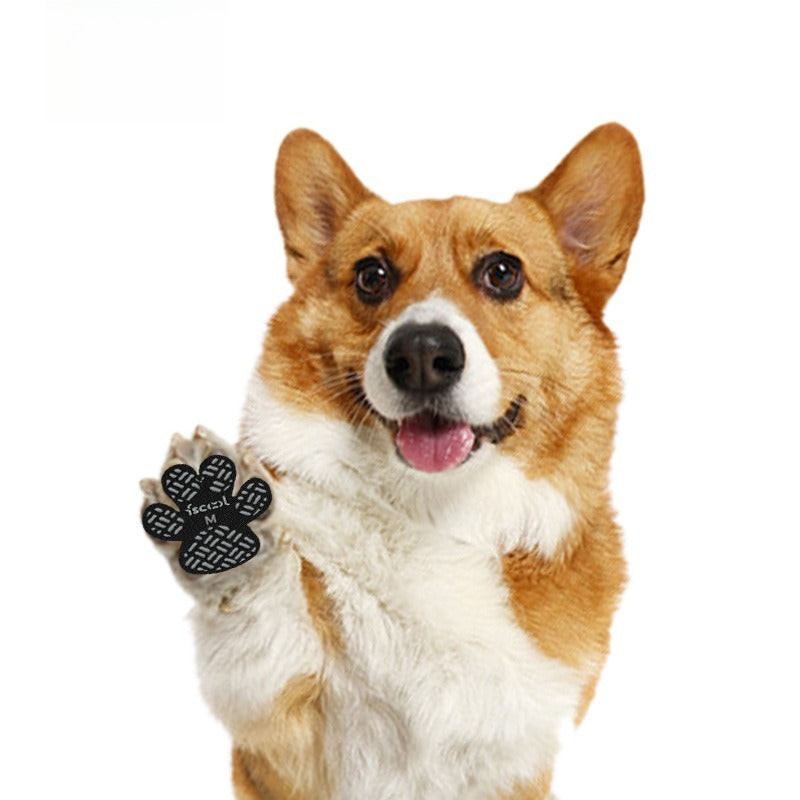 Chaussures pour Chien Antidérapantes - DogCushionProtect™