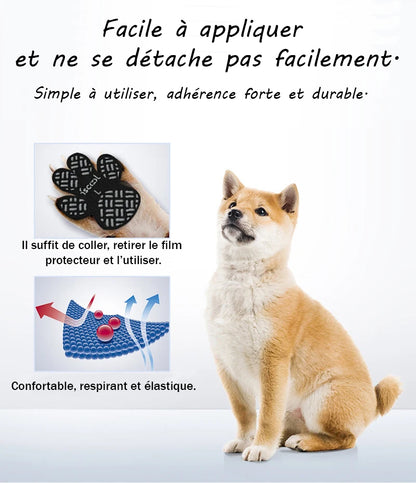 Chaussures pour Chien Antidérapantes - DogCushionProtect™