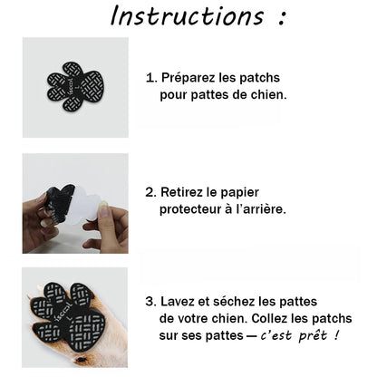 Chaussures pour Chien Antidérapantes - DogCushionProtect™