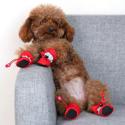 Chaussures chien - EasyPutOn™