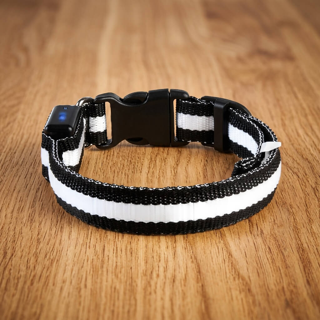 Collier Chien - LEDCollarDog™ - Noir