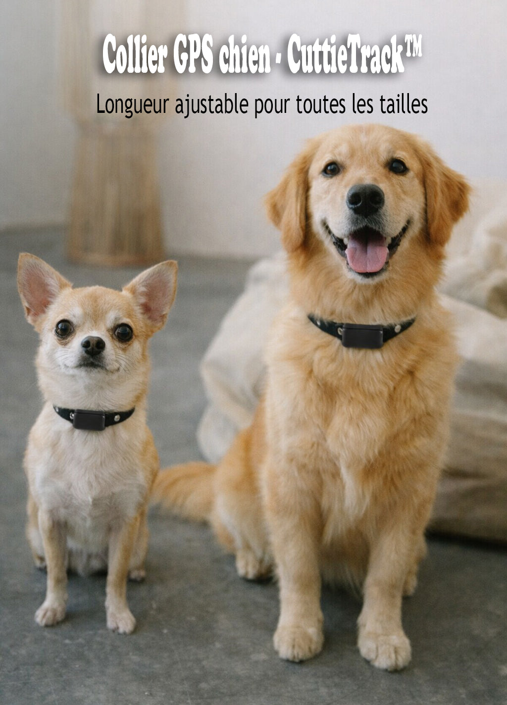 Collier GPS chien - CuttieTrack™