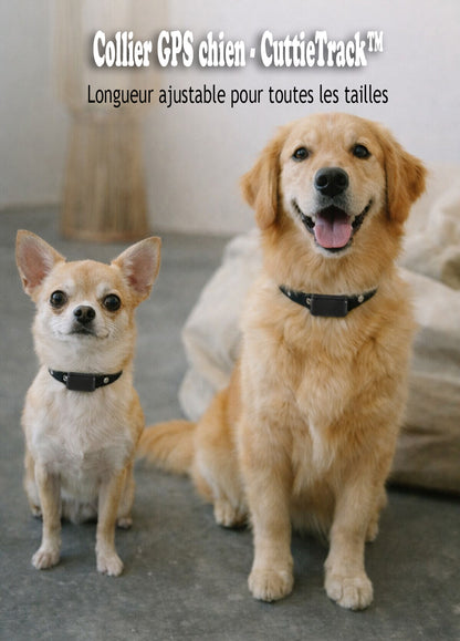 Collier GPS chien - CuttieTrack™