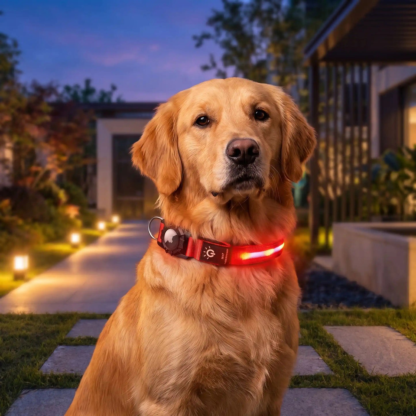 Collier GPS chien - LuminousAirCollar™