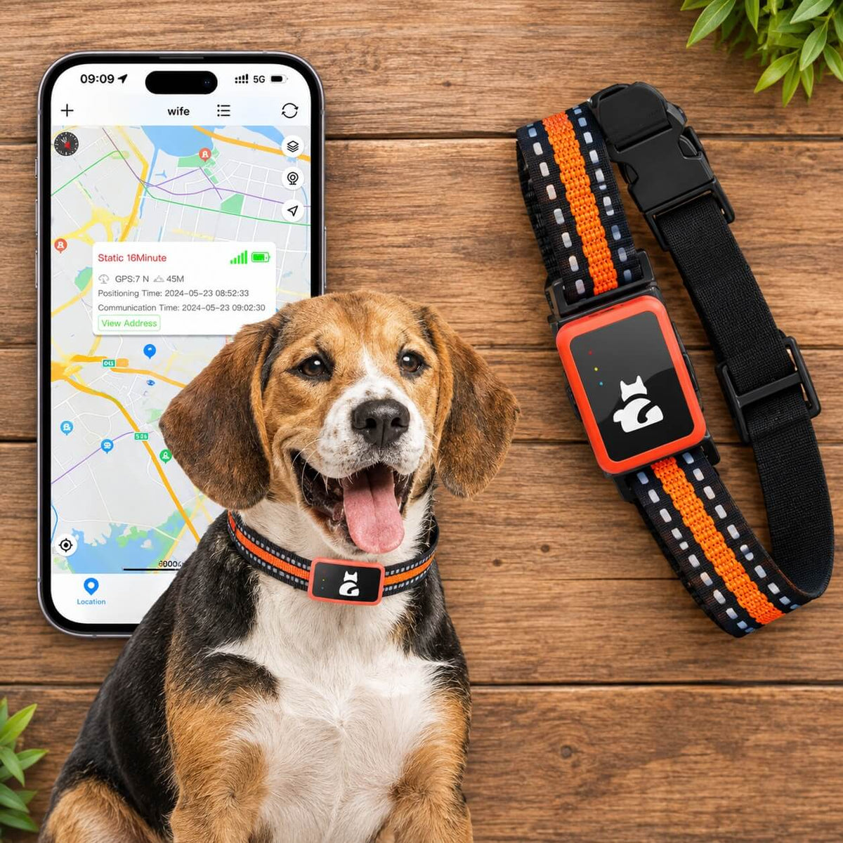 Collier GPS pour chien - SimpleFound™