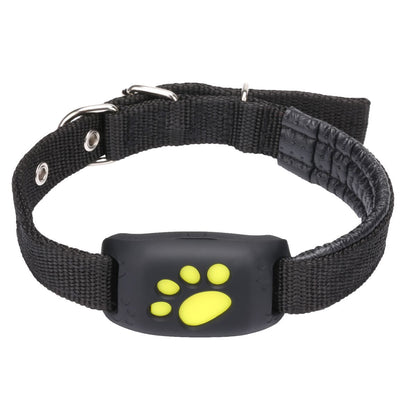 Collier GPS pour chien - GoFoundDog™