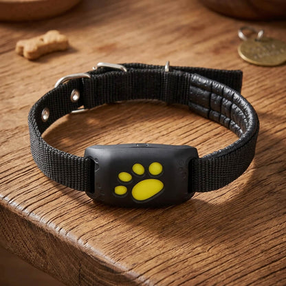 Collier GPS pour chien - GoFoundDog™