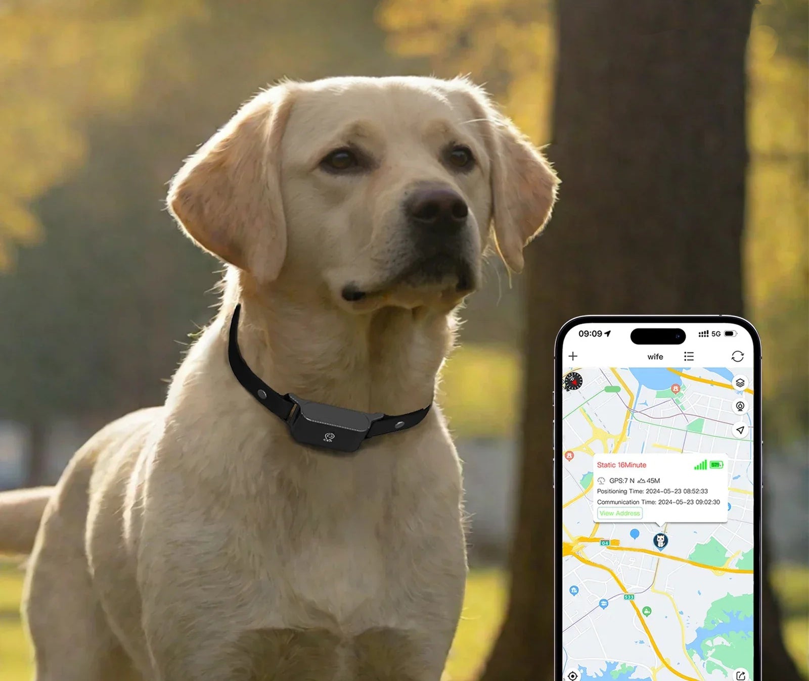 Collier GPS pour chien - SimpleFound™