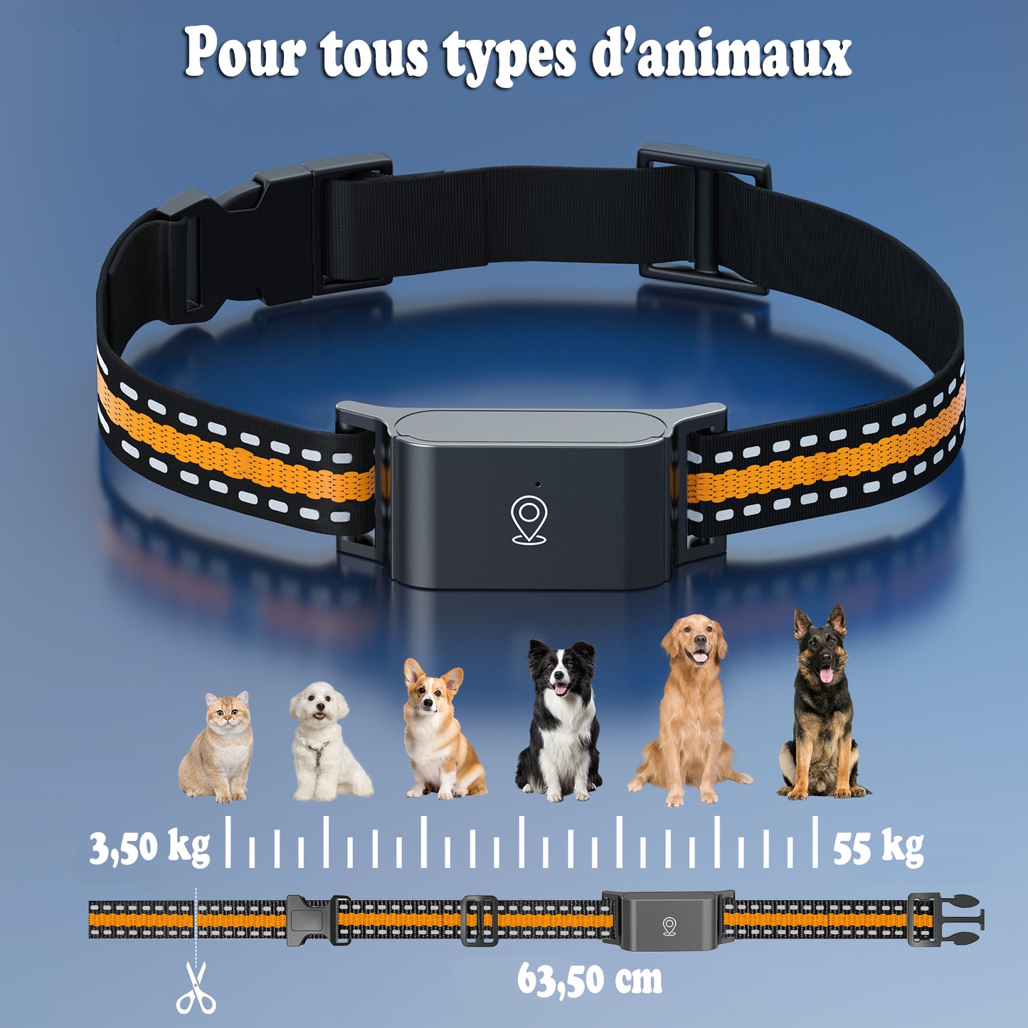 Collier GPS pour chien - SimpleFound™