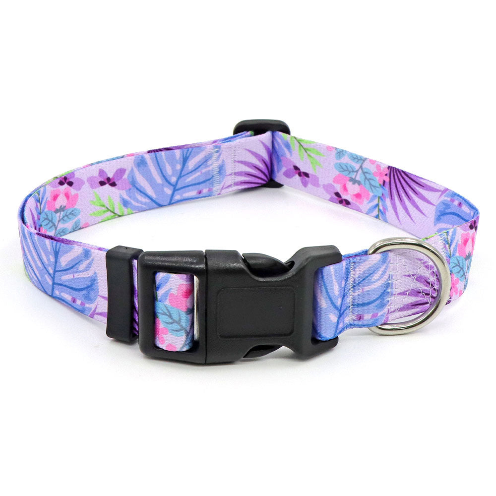 Collier Chien - BeautyDog™