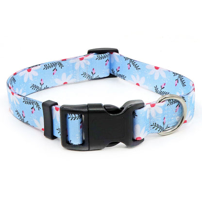 Collier Chien - BeautyDog™