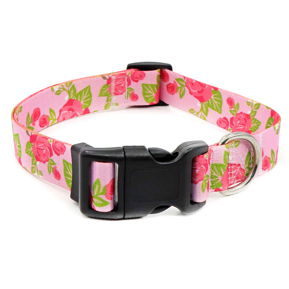 Collier Chien - BeautyDog™