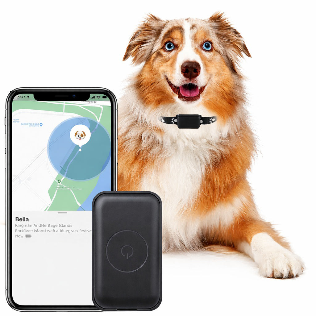 Collier GPS chien - CuttieTrack™