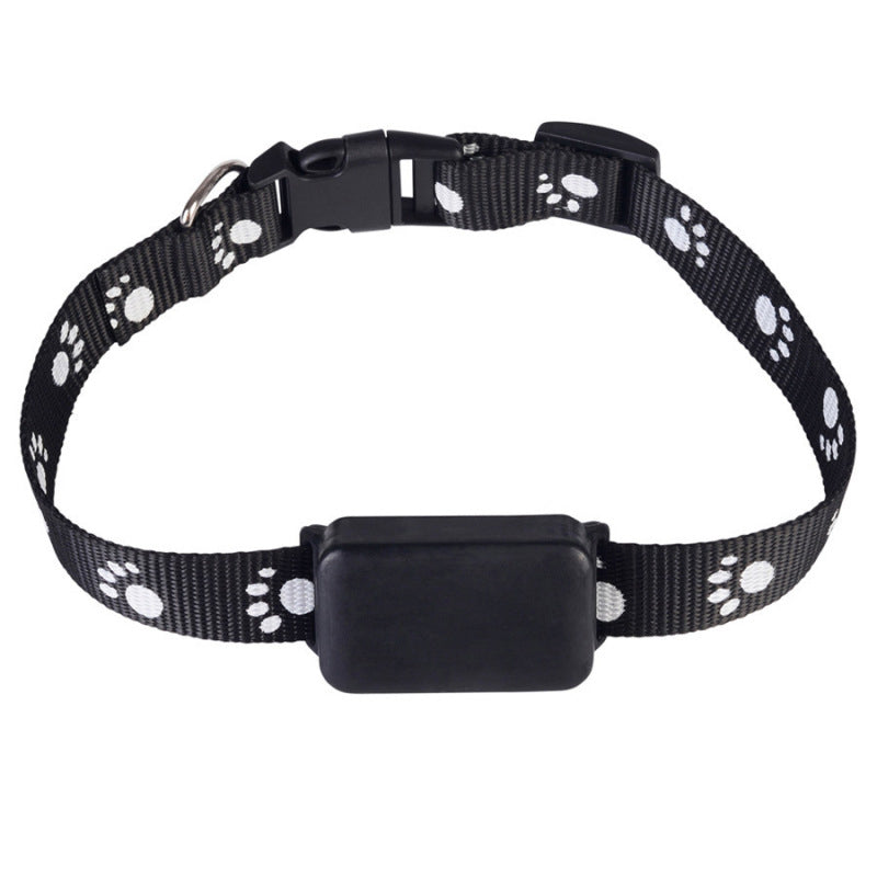 Collier GPS chien - CuttieTrack™