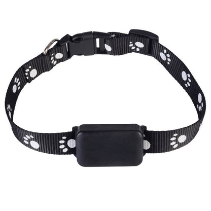 Collier GPS chien - CuttieTrack™